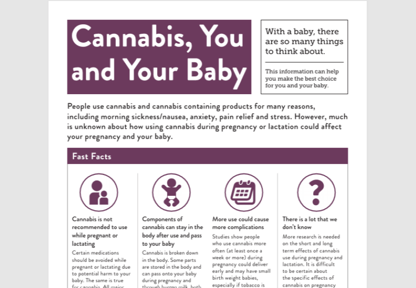 A screenshot of the Cannabis, You and Your Baby flyer.